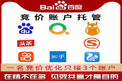 百度竞价SEM成功案例：揭秘广告投放秘诀
